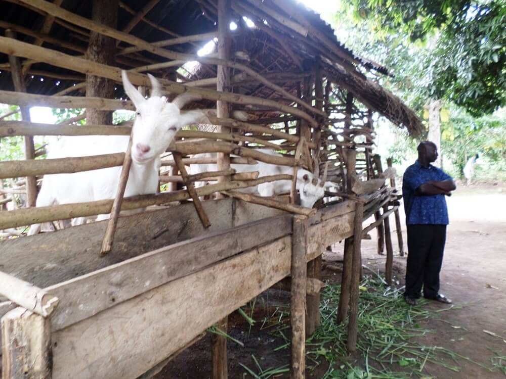 SHU's Household Livelihood Improvement program supporting community members with skills and micro-finance access.